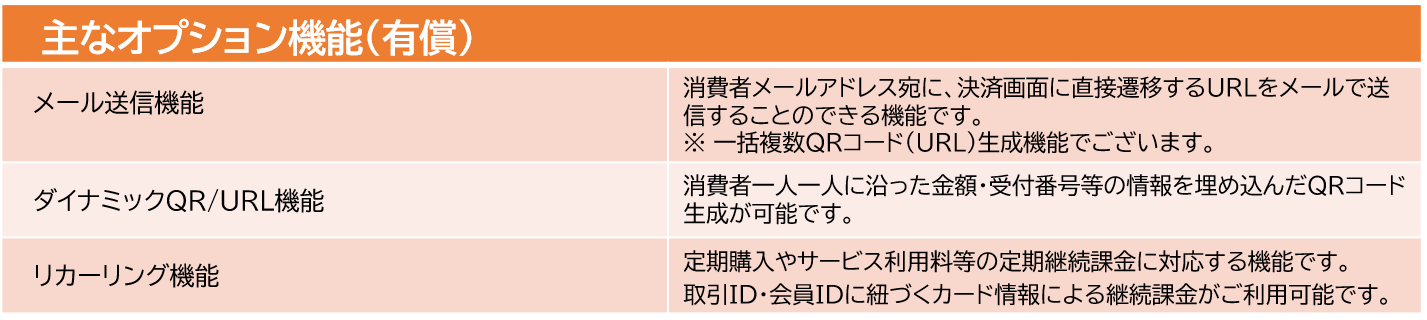 主なオプション機能(有償)