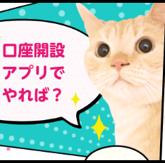 口座開設アプリでやれば？