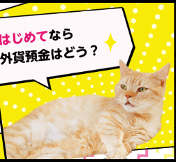 はじめてなら外貨預金はどう？