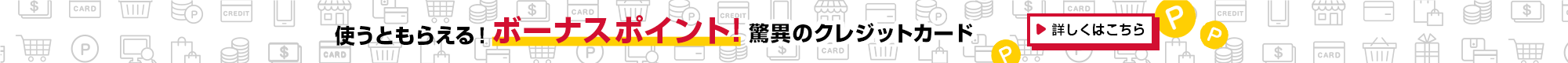 使うともらえる！ボーナスポイント！驚異のクレジットカード　詳しくはこちら