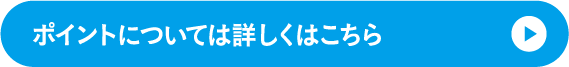ポイントについては詳しくはこちら