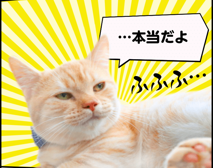 猫漫画で解説！無料で使えるPay-easy(ペイジー)とは？｜みなと銀行