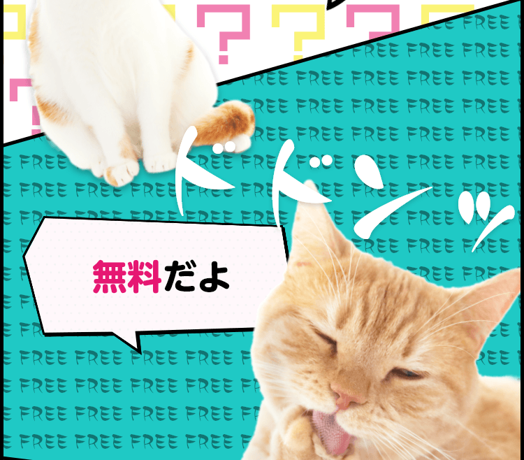 猫漫画で解説！無料で使えるPay-easy(ペイジー)とは？｜みなと銀行