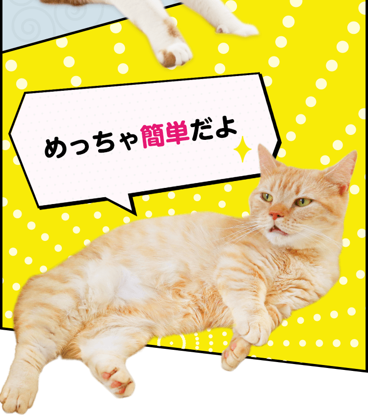 猫漫画で解説！無料で使えるPay-easy(ペイジー)とは？｜みなと銀行