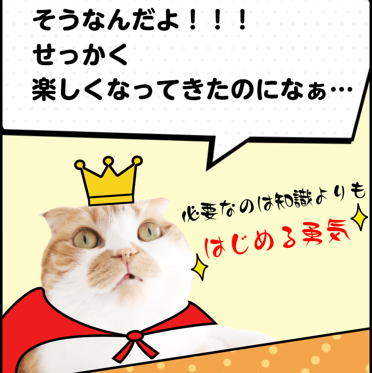 猫漫画で解説！少額からコツコツはじめるならNISA｜みなと銀行