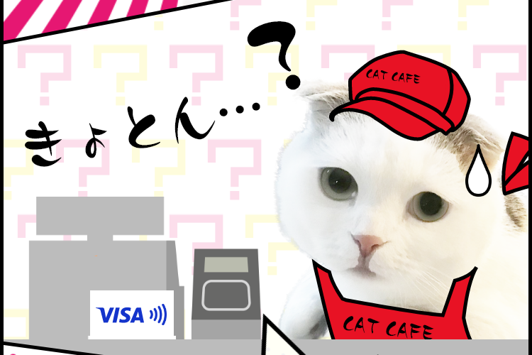 【ロゴ】VISA きょとん・・・？