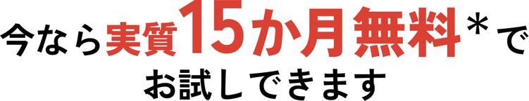 今なら実質15か月無料＊でお試しできます