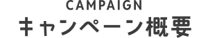キャンペーン概要
