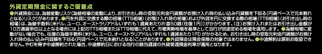 外貨定期預金に関するご留意点