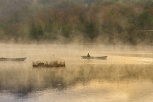 「朝霧の湖」