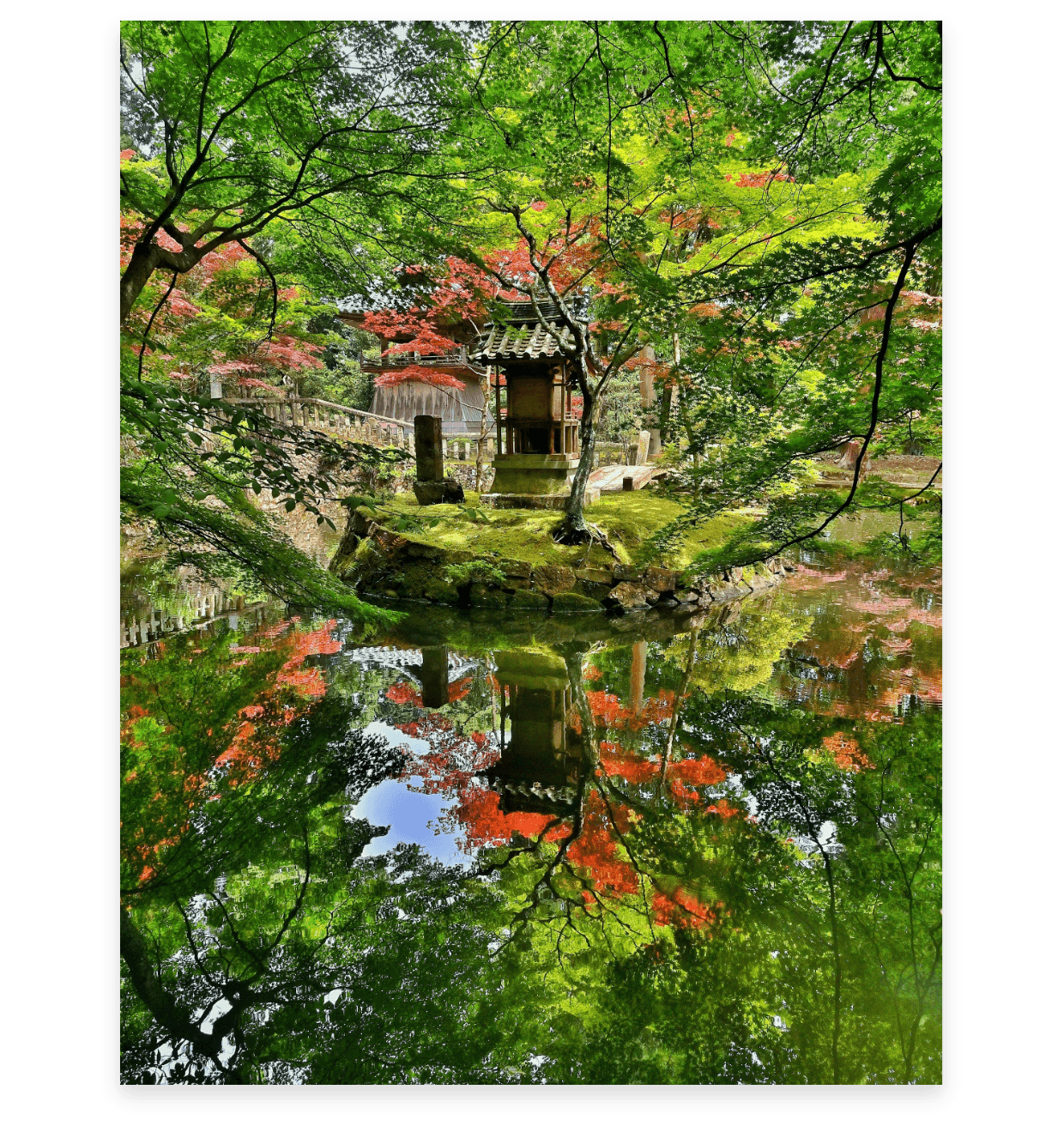 橋本 雅也さんの作品